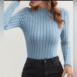 Blue solid knit turtleneck top